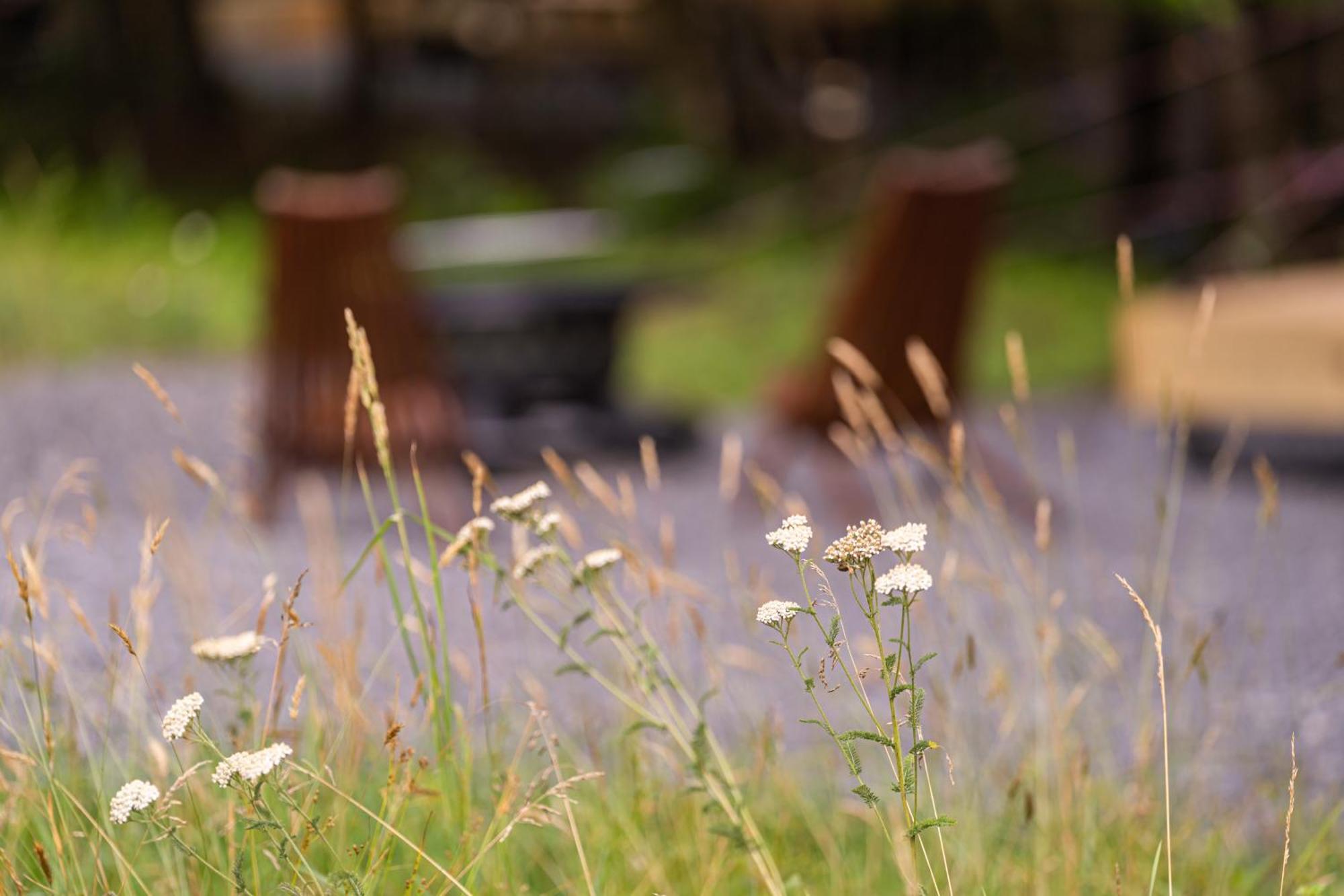 Hotel Firefly Ridge Luxury Retreat Great Cacapon Esterno foto